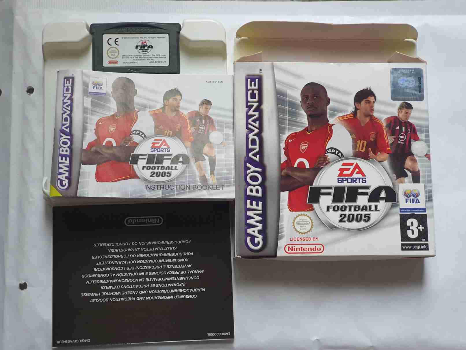 FIFA FOOTBALL 2005