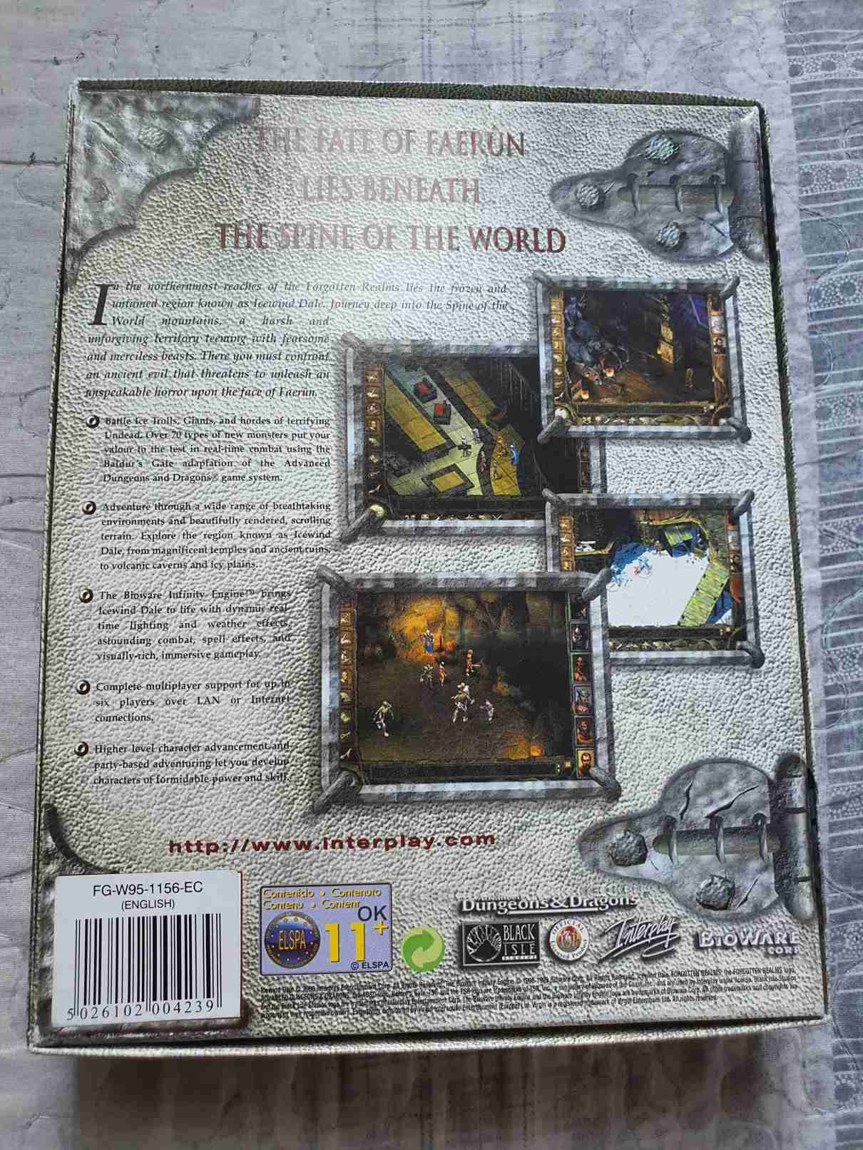 ICEWIND DALE